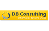 DB Consulting