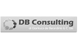 DB Consulting